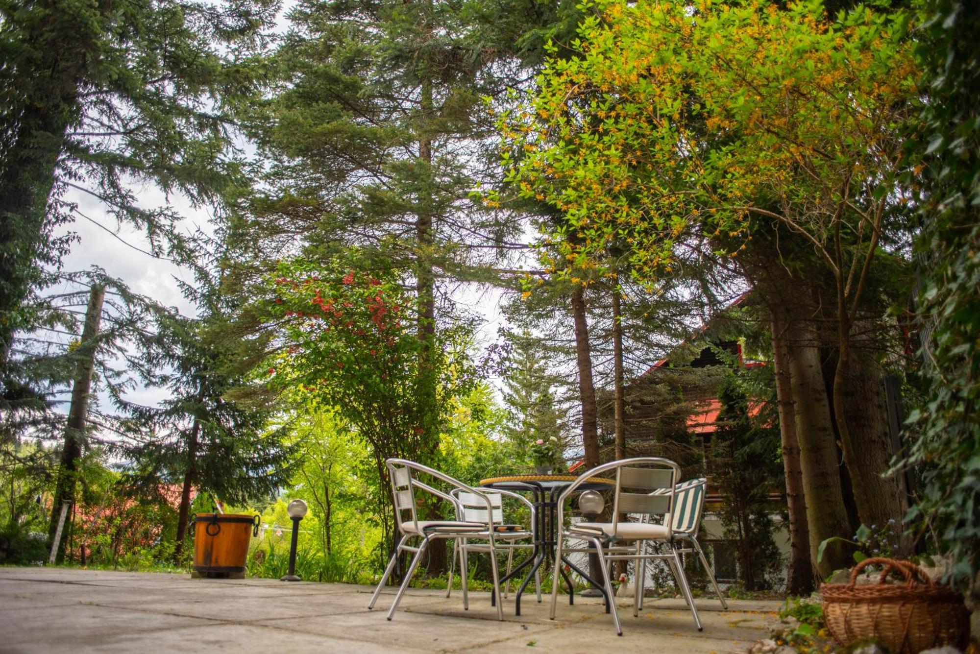 Villa Sara In Sinaia Near Peles & Gondola Exteriör bild